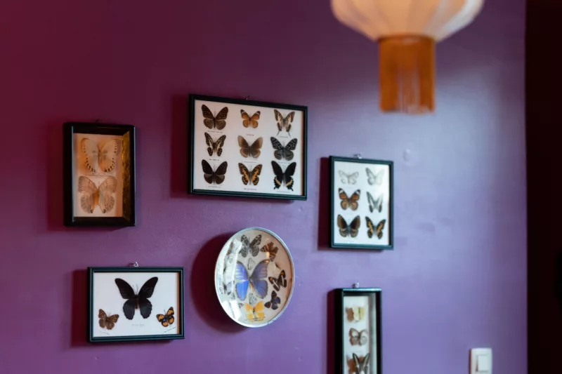 Sur le thème du Cluedo Logez dans la chambre asiatique de Professeur VIOLET