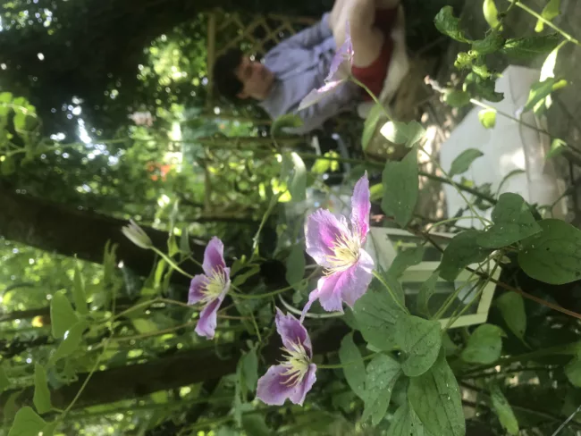 Secret garden ou jardin secret, passez une soirée en amoureux dans un endroit romantique dans le jardin