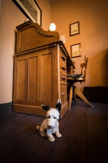 Une mascotte égaré sur le sol du salon